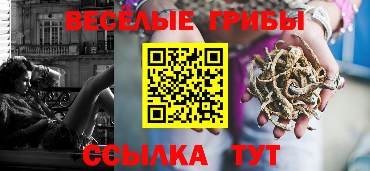Псилоцибиновые грибы ЛСД Донецк