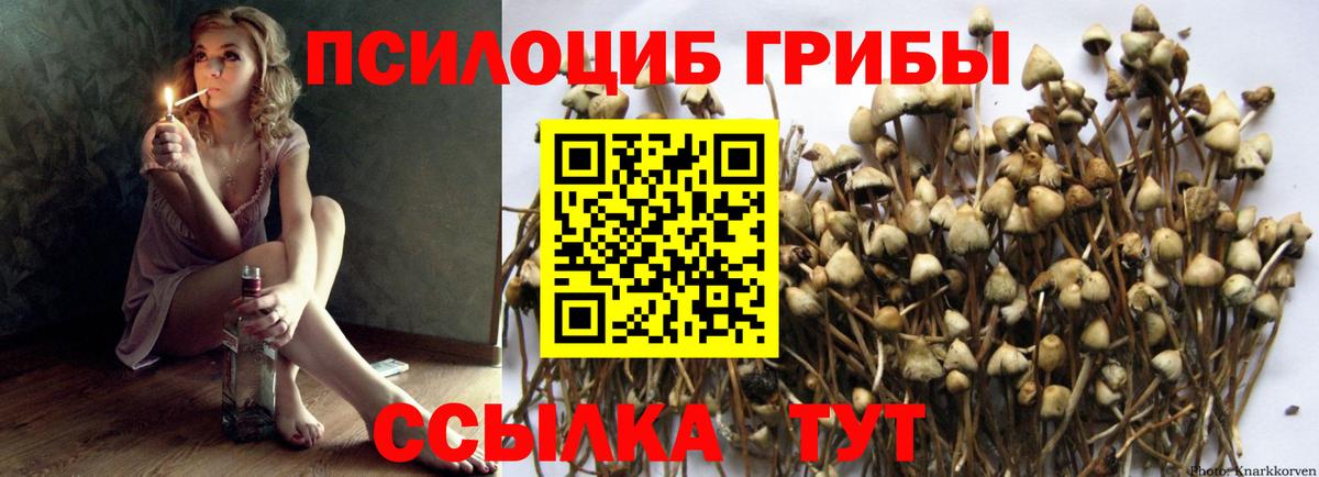 Cocaine Донецк