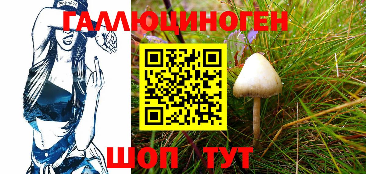 Донецк  Псилоцибиновые грибы Psilocybine cubensis  Вход с VPN 